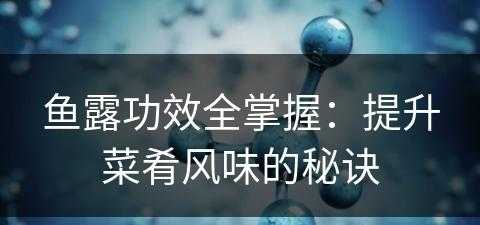 鱼露功效全掌握：提升菜肴风味的秘诀